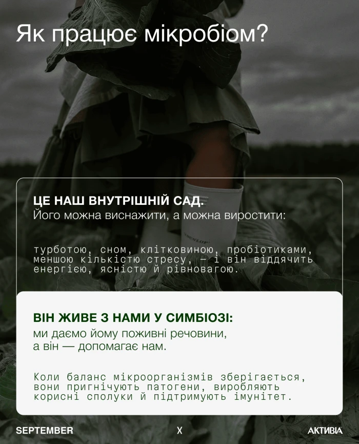 Мікробіом кишківника: чому він важливий і як підтримувати баланс?